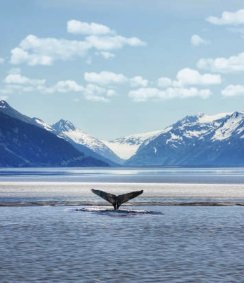 Legal translation agency for Alaska
