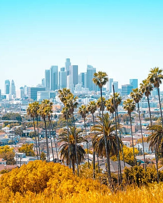 Legal translation services in Los Angeles